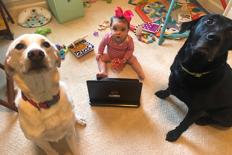 Jack's dogs Murphy (left) and Nash (right) with his daughter Evie