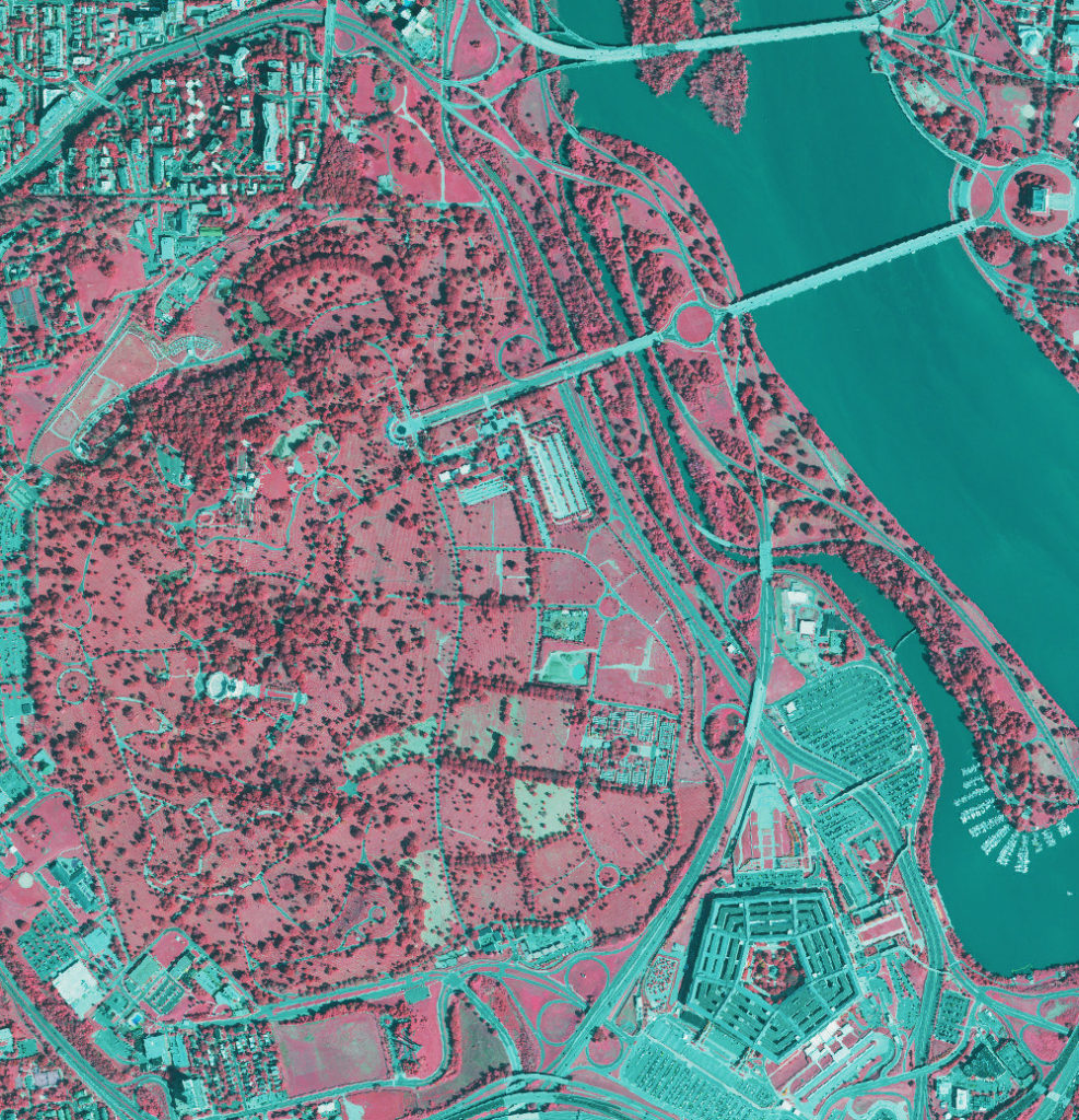 CIR image of Arlington National Cemetery